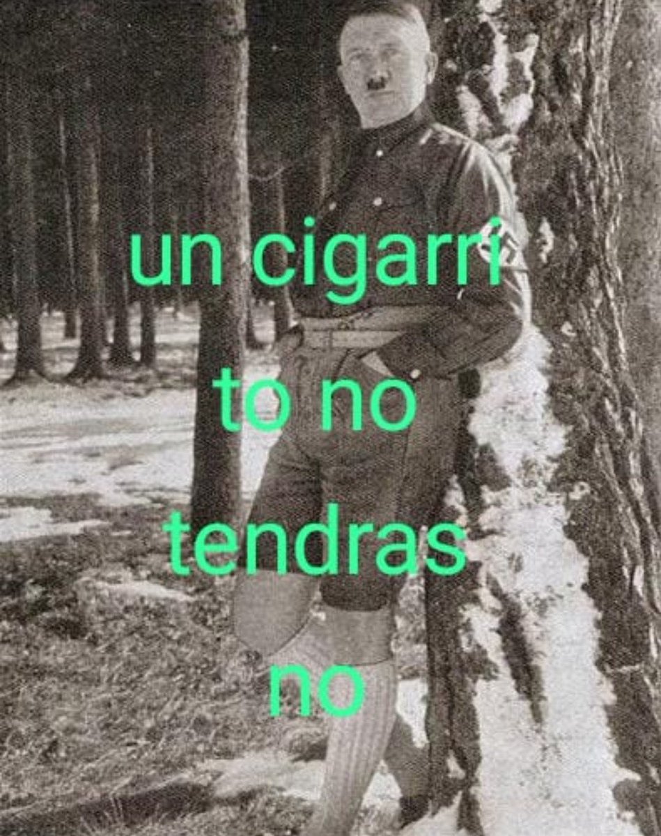 gorilafumon🚬🦍 tweet media