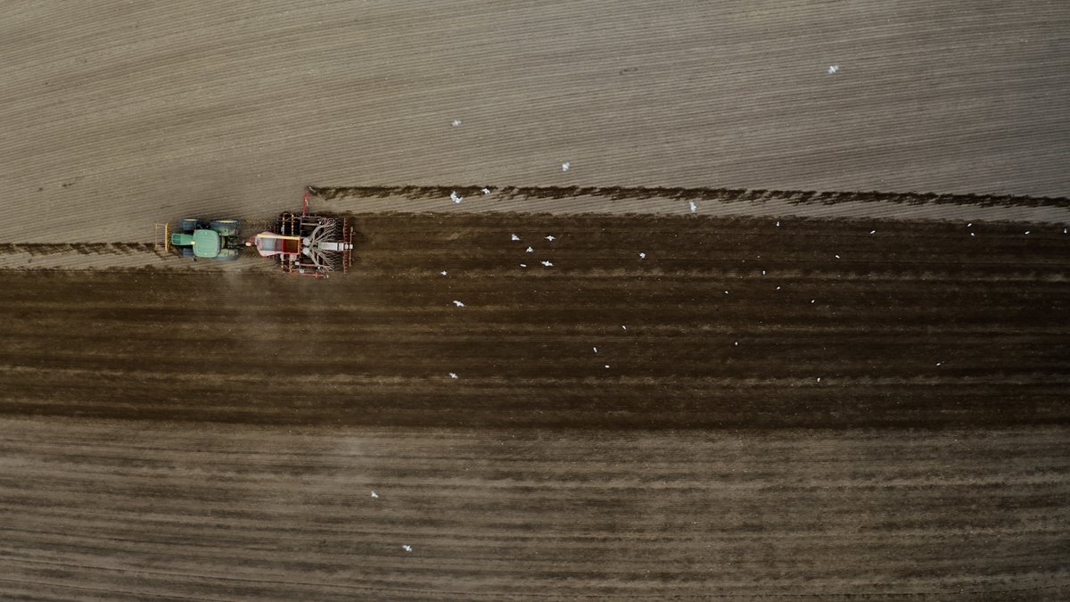 Better weather has seen a huge jump forward in Scottish Spring barley planting albeit with higher seed rates to compensate for a later drilling window. 

Sowing could almost be complete in most areas and if the warmer weather continues we'll see further crop emergence #harvest23