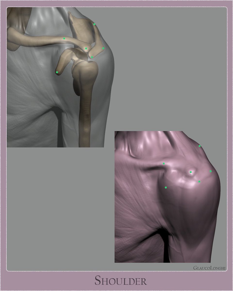 glaucolonghi's tweet photo. More anatomy Thursday :) 
Sharing more studies from years ago, this was a nice one to sculpt and get a better understanding of the shoulder girdle. https://t.co/RL9KXrJEFb
