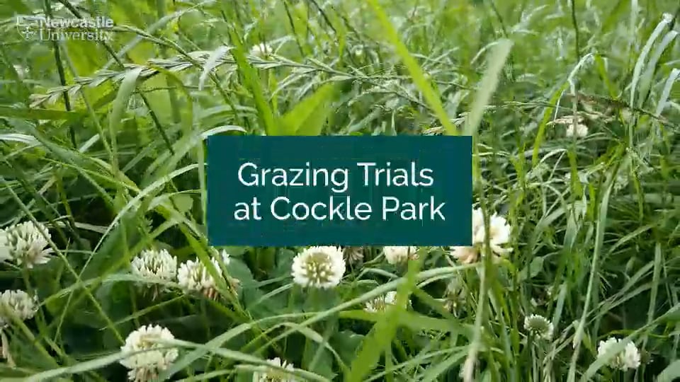 miricompany's tweet photo. Did you miss our talk at #AABRegenAg?

This research aimed to measure any difference in methane emissions between mob and rotational grazing.

https://t.co/BXPeoiH5fs 

#MIRICO #AAB #agriculture #biology #greenhousegasemissions #farming #netzero https://t.co/dSUlRPFMrT