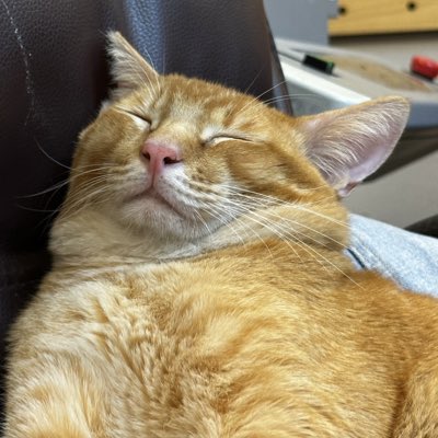 ririri4_4's tweet photo. #NewProfilePic (新個人資料照片) https://t.co/52KHyaLEiF