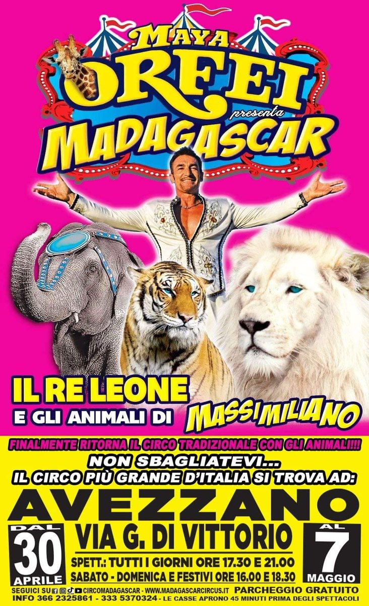 amicicircus's tweet photo. Cambio programma per il Maya #Orfei Circo Madagascar. Annullata la piazza di #Viareggio in #Toscana. 

Prossima fermata #AVEZZANO 
Dal 30 APRILE AL 7 MAGGIO https://t.co/5BOrHZSDFl