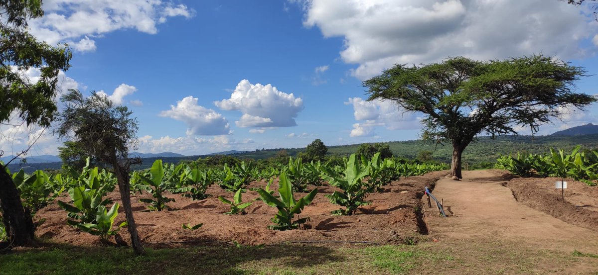 Police and Prison Reforms Task Force Kenya tweet media