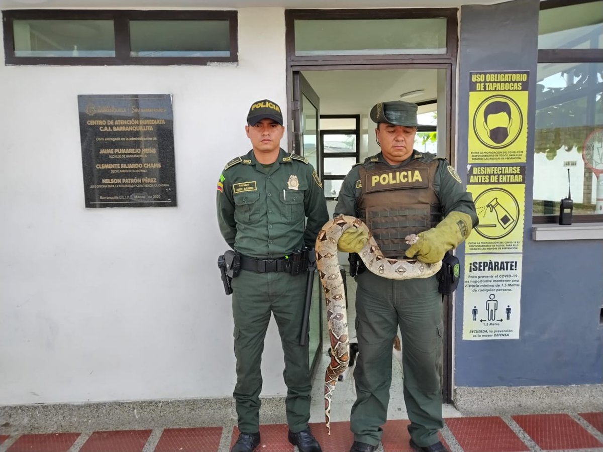 Policía de Protección y Servicios Especiales tweet media