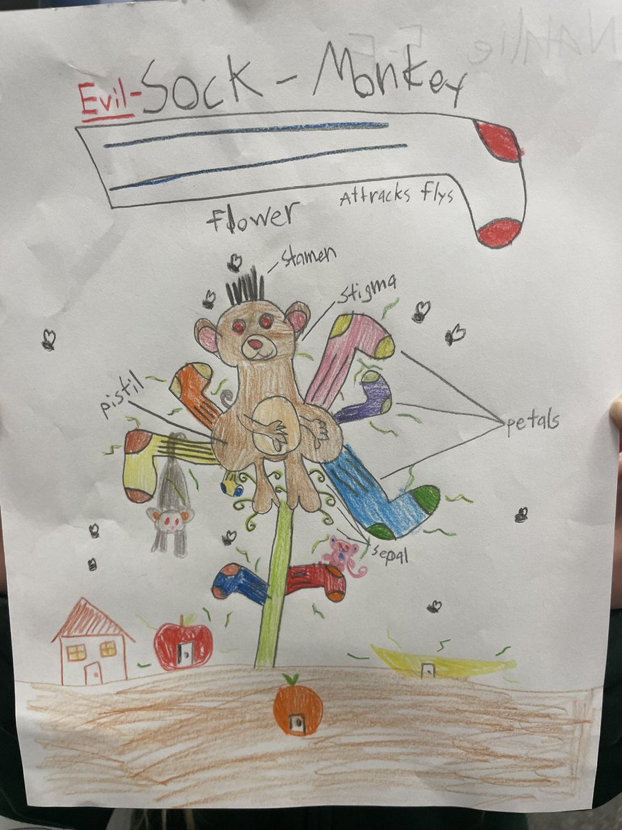 Ashley Hollander tweet media