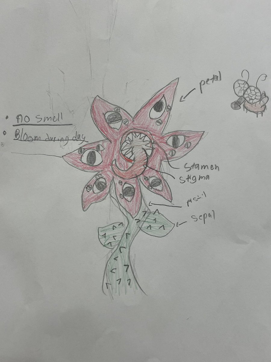 Ashley Hollander tweet media