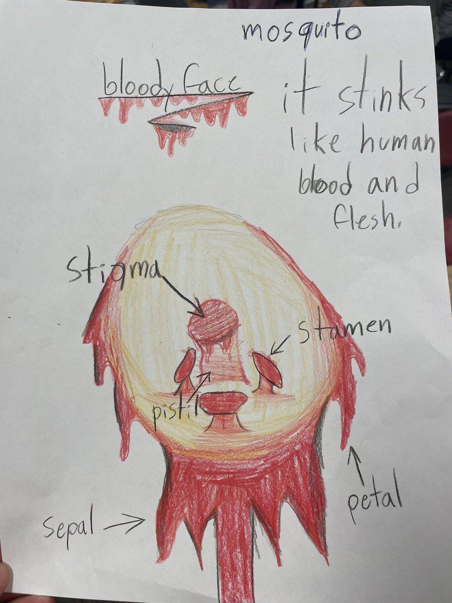 Ashley Hollander tweet media