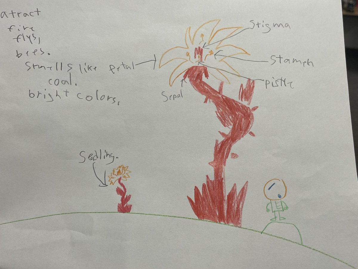 Ashley Hollander tweet media