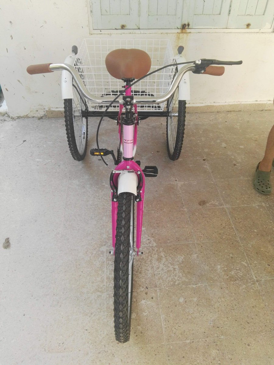 El_Mulix's tweet photo. En vista que el transporte público es una piece of 💩.
Procederé a usar mi triciclo. https://t.co/t7Tn2RkUVJ