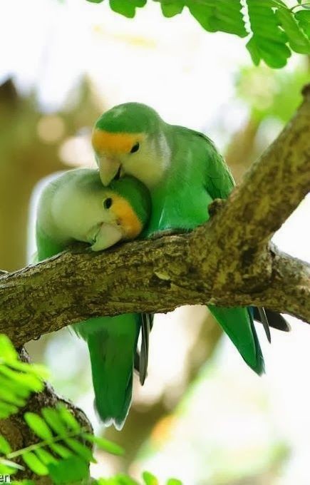 🍀☘️27Abr| 🇻🇪🌎📢 ¡ETIQUETAS DEL DÍA! ⏬
#LevantenElBloqueoYa 

¡Basta de sanciones asesinas!

<a href="/maria_buitriago/">Maria Buitriago</a>  <a href="/Krisbelihernan1/">Krisbeli hernandez</a> <a href="/poderdigital813/">poderdigital813</a> <a href="/ahuyama16/">Mariana Avila</a> <a href="/luis16684716/">tuitero de Aragua</a> <a href="/anitaloch/">💞🌺KariñaPSUV🇻🇪💞</a> <a href="/MariaGu82631195/">💞💕100%Twitera 💕💞🥰</a> <a href="/maykelsanchez23/">Chávez Por Siempre</a> <a href="/matia12811/">matia128</a> <a href="/YanireRuiz2367/">Yanire</a>
<a href="/CABANAFRITA7877/">TWITERA ORIENTAL</a>