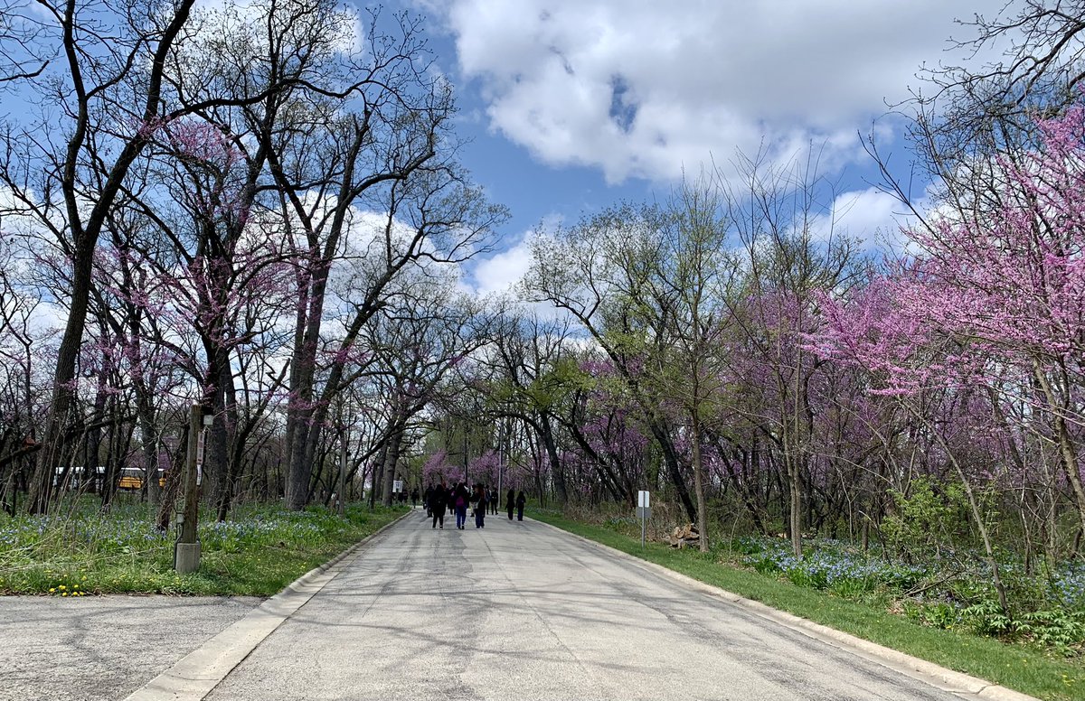 Finding some 400 million year old fossils and learning about the evolution of Illinois #mortonpride #orgullomorton #❤️science