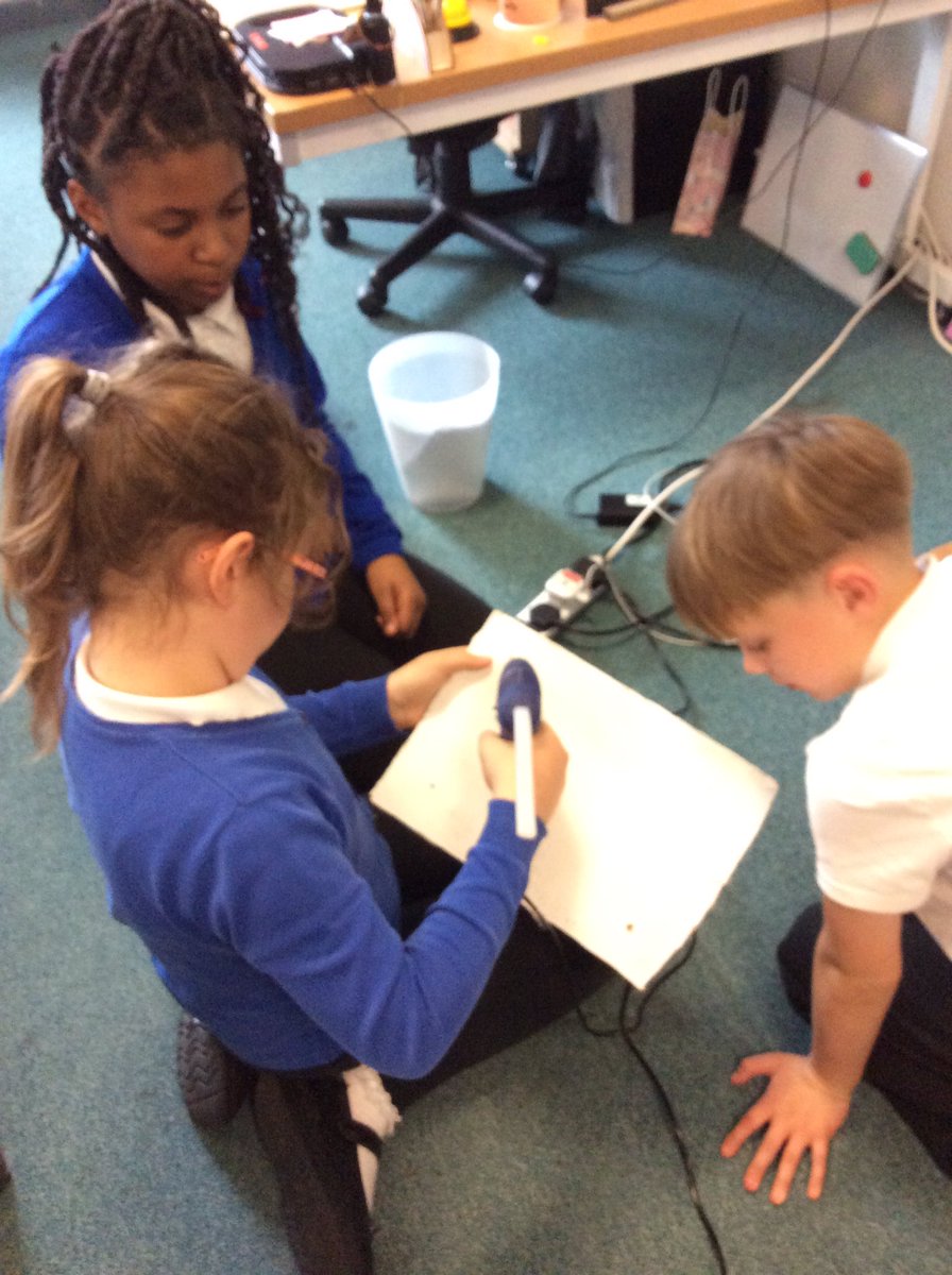 Foxfield Olive tweet media