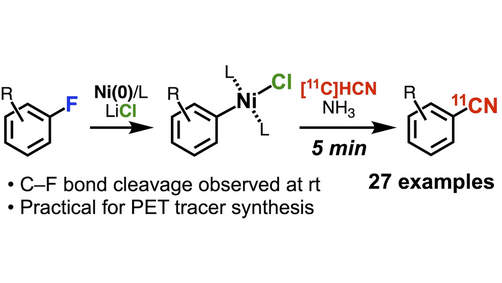 angew_chem's tweet photo. 11C-Cyanation of Aryl Fluorides via Nickel and Lithium Chloride-Mediated C-F Bond Activation (Takamitsu Hosoya and co-workers) @ChemBioLab https://t.co/2NOBuOWEgD https://t.co/yyN0P7DA8R