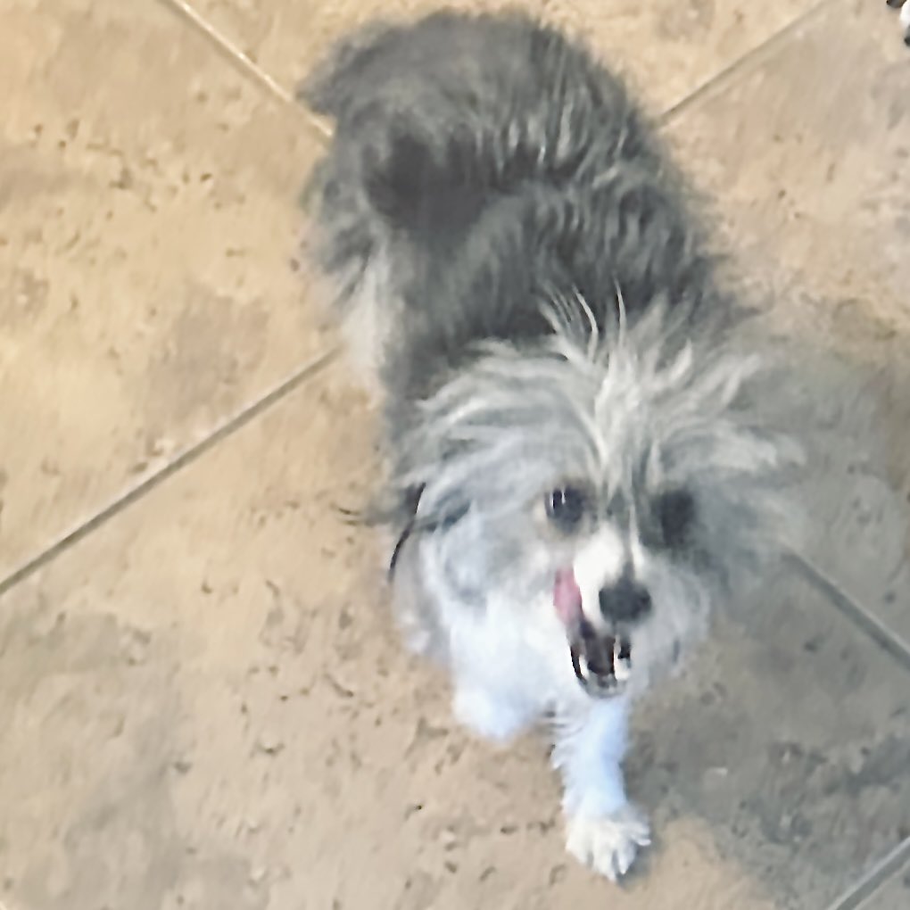 DPAQmode's tweet image. GM “Find an accountability partner to help you reach your wellness goals” #sparkgratitude 
Photos of partner: