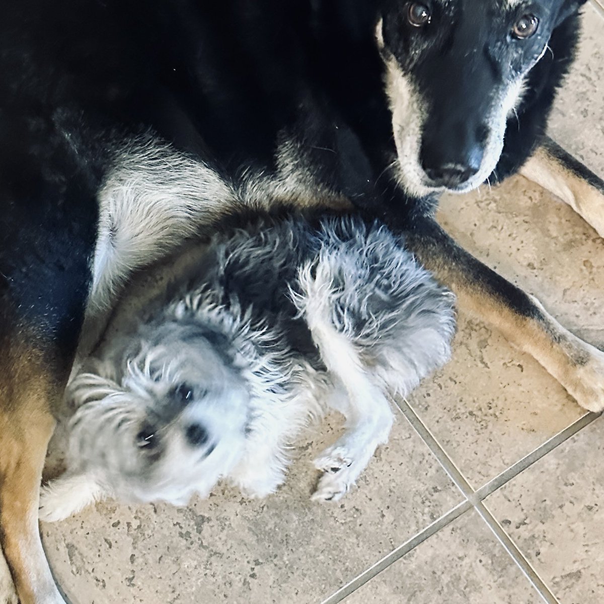 DPAQmode's tweet image. GM “Find an accountability partner to help you reach your wellness goals” #sparkgratitude 
Photos of partner: