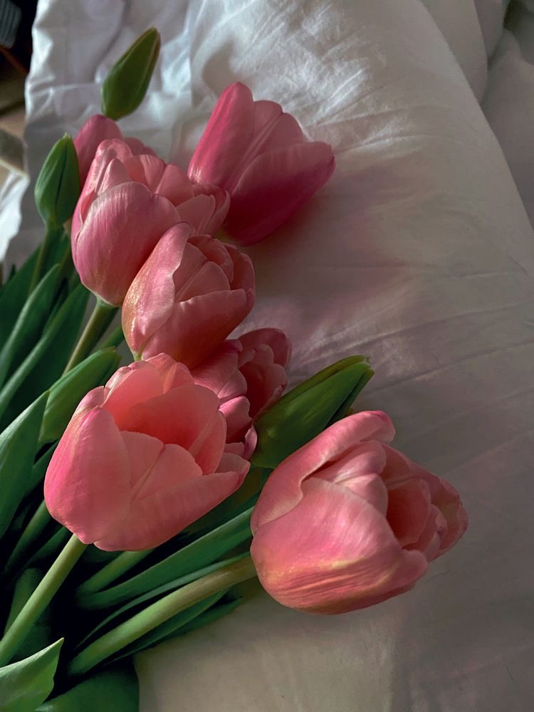 SelectOutfit's tweet photo. tulips https://t.co/kZRsP785Qk