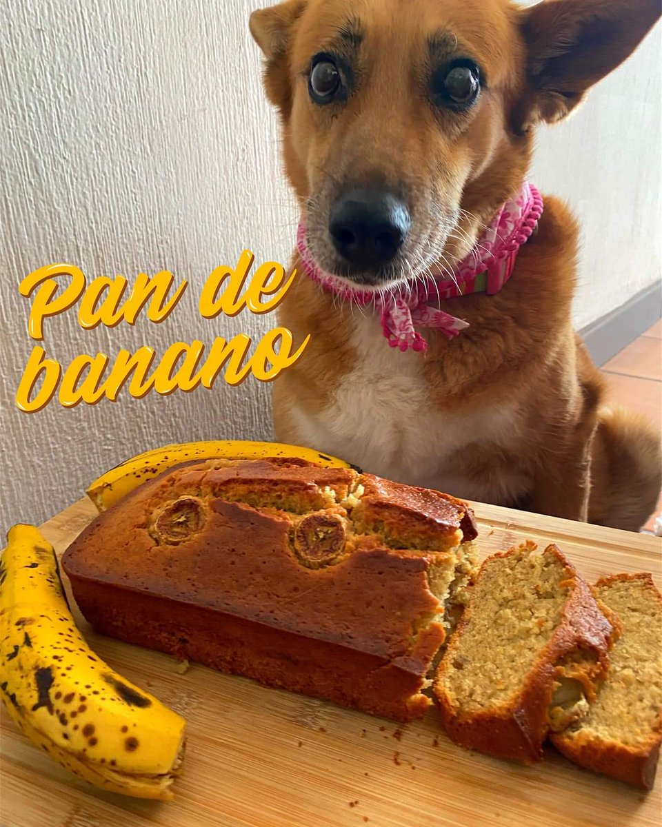 PiruloMuseo's tweet photo. ❤️❤️ Hoy por ti,... ❤️❤️ https://t.co/5FGGdrgUYo