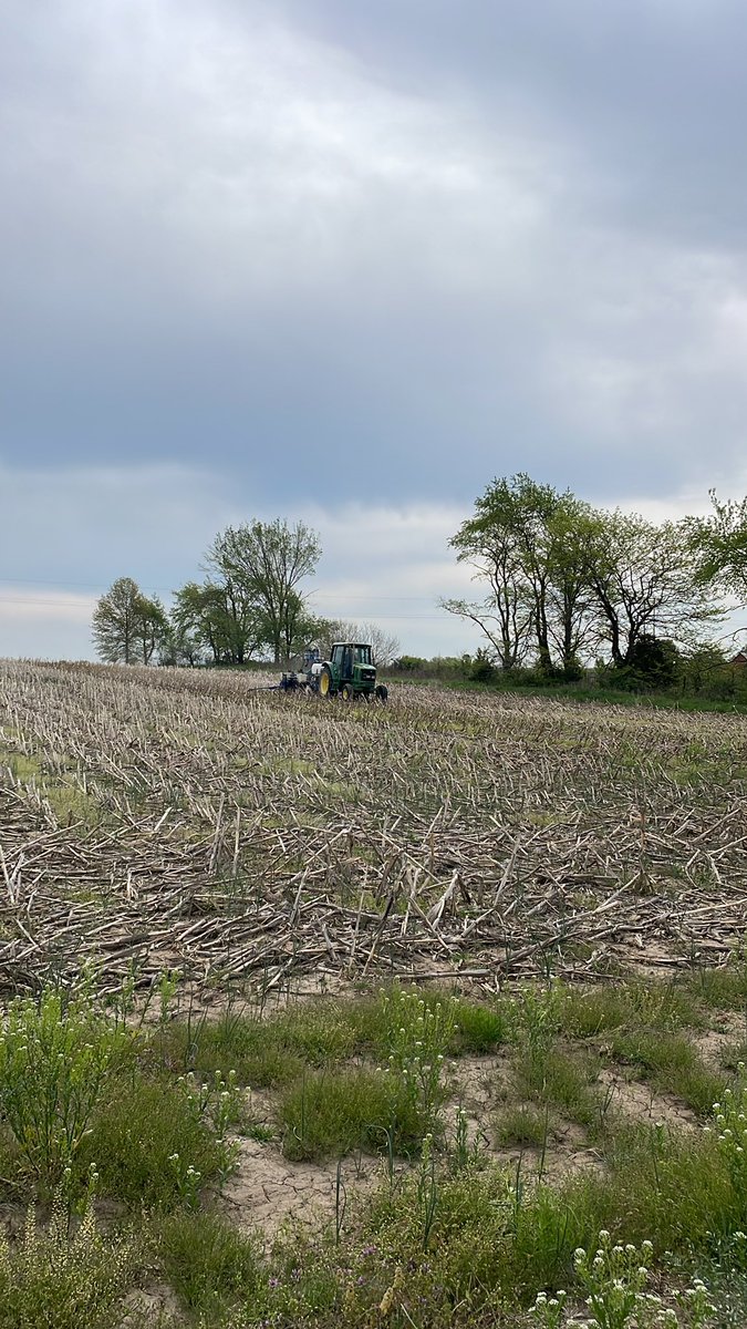 Big soybean plot going in today in Buell, MO #plant23
#NK   Nice to have all traits represented by NKSeeds.