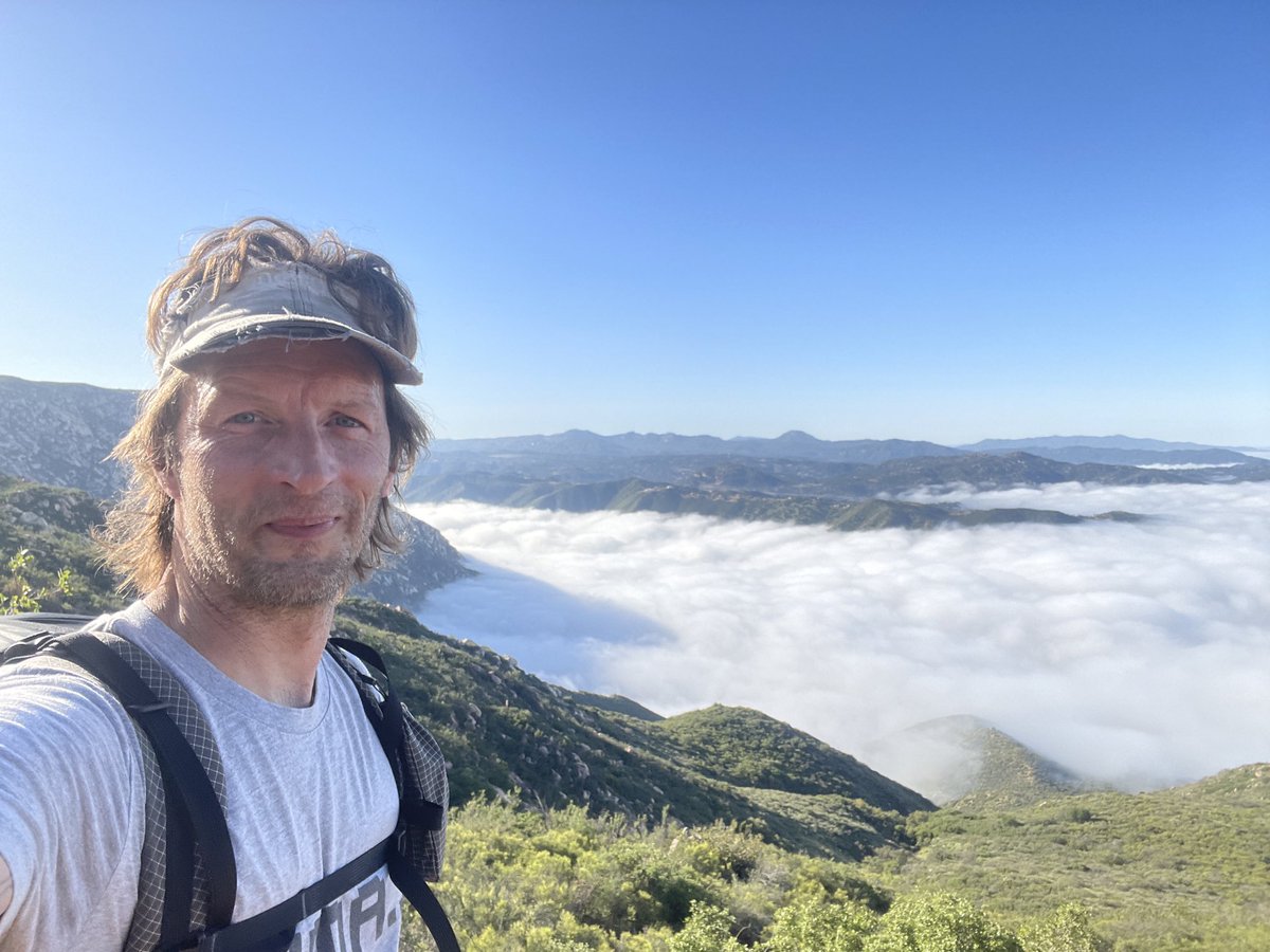 GRISTLEKING tweet media