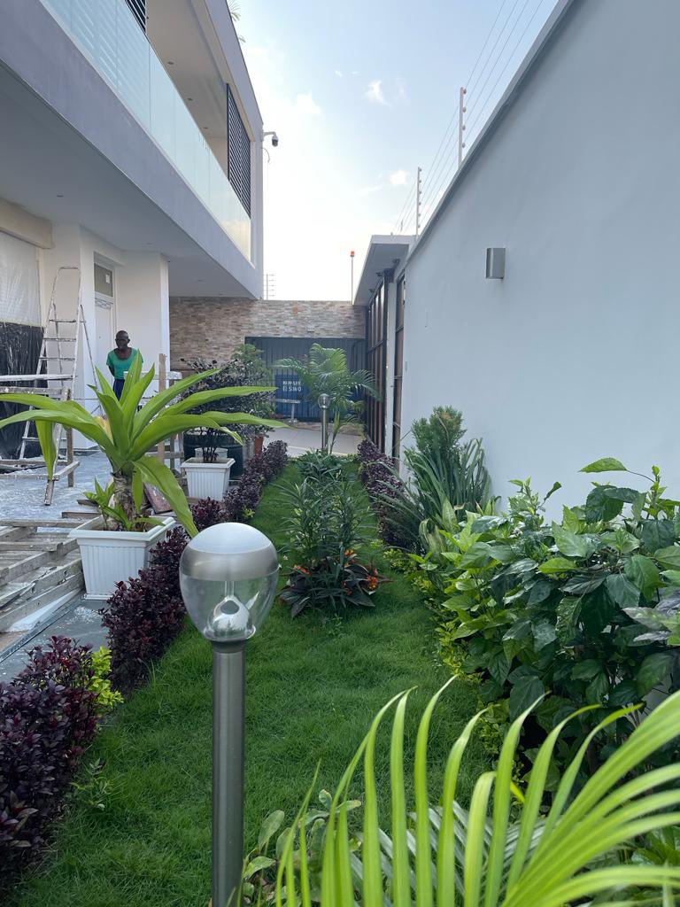 Johnson M Bigwi tweet media