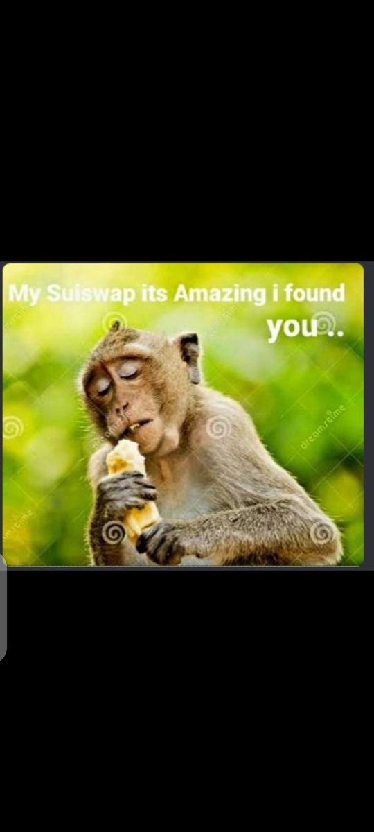 mzsteph_'s tweet photo. @suiswap_app got me like. #Sui https://t.co/2SjikqKyNZ
