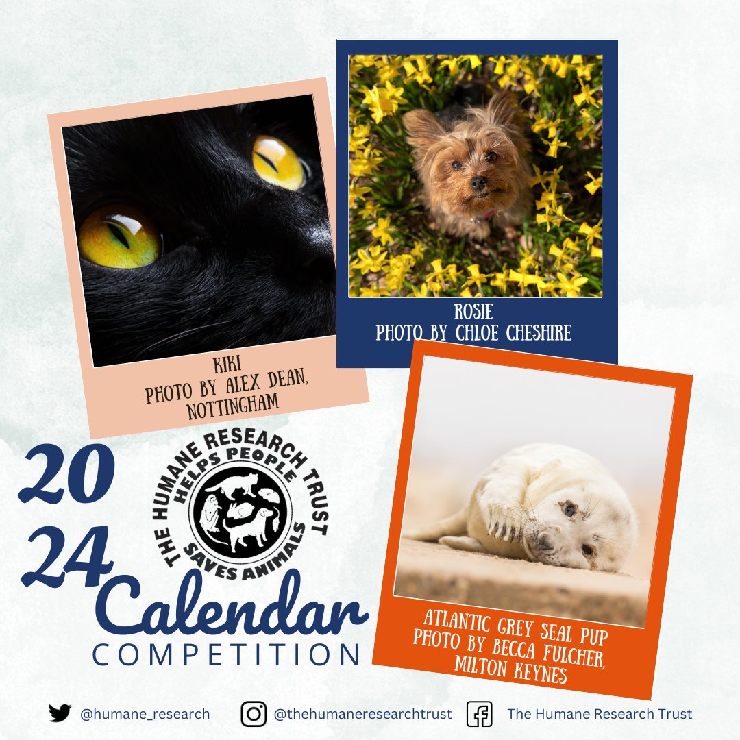 The Humane Research Trust tweet media