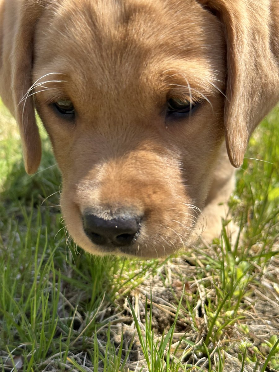 Bourne Police Dept. tweet media