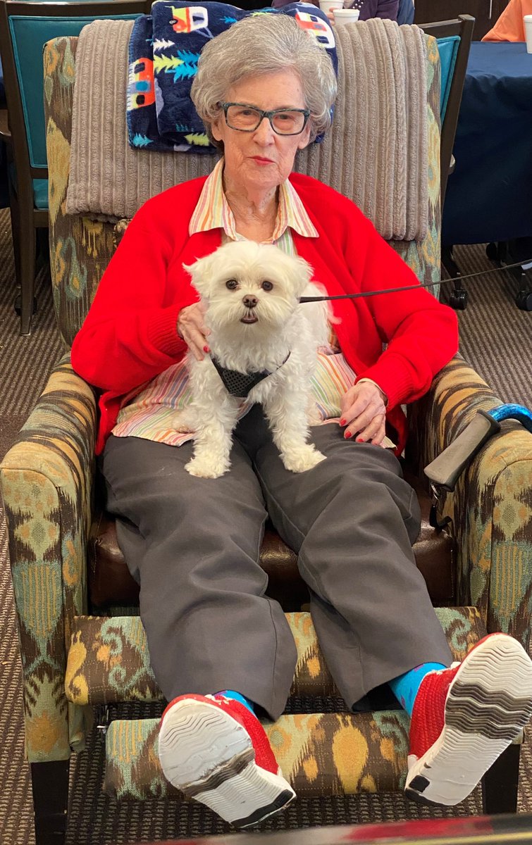 NorthRiverHC's tweet photo. "When I needed a hand, I found your paw." 

A visit from our four legged friend, Teddy, always makes our day! 🥰 https://t.co/YMcHXLcjDc
