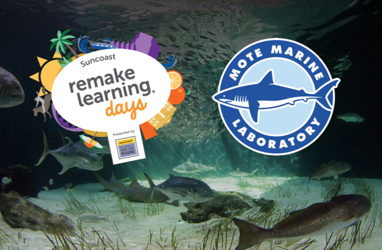 Tonight's the night. Join us as we say goodnight to your favorite sea creatures as we visit them after dark. A free virtual learning event on at 5:30 pm ET from #SuncoastRemakeDays. remakelearningdays.org/event/virtual-… <a href="/RemakeDays/">Remake Learning Days</a> <a href="/SuncoastCGLR/">Suncoast GL Reading</a> <a href="/ThePattersonFdn/">The Patterson Foundation</a>