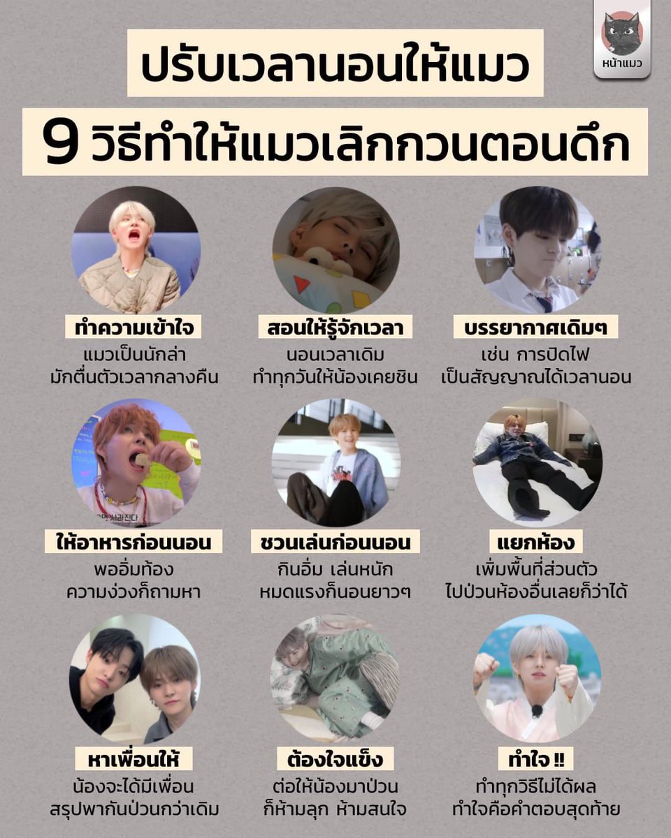 kobemeow's tweet image. วิธีหยุดชิดื้อ !