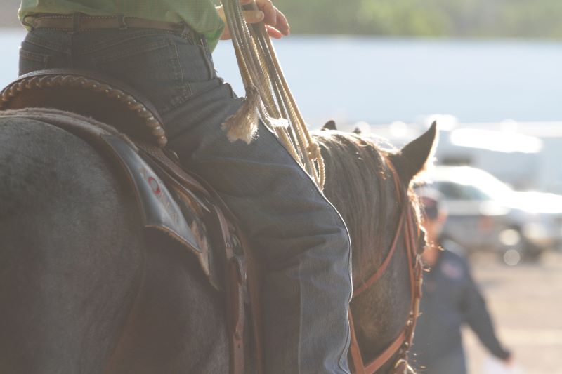 View the recently approved recommendations from the #AQHA #Ranching Committee, which were approved by the AQHA Executive Committee. ➡️ hubs.li/Q01MZ1TN0