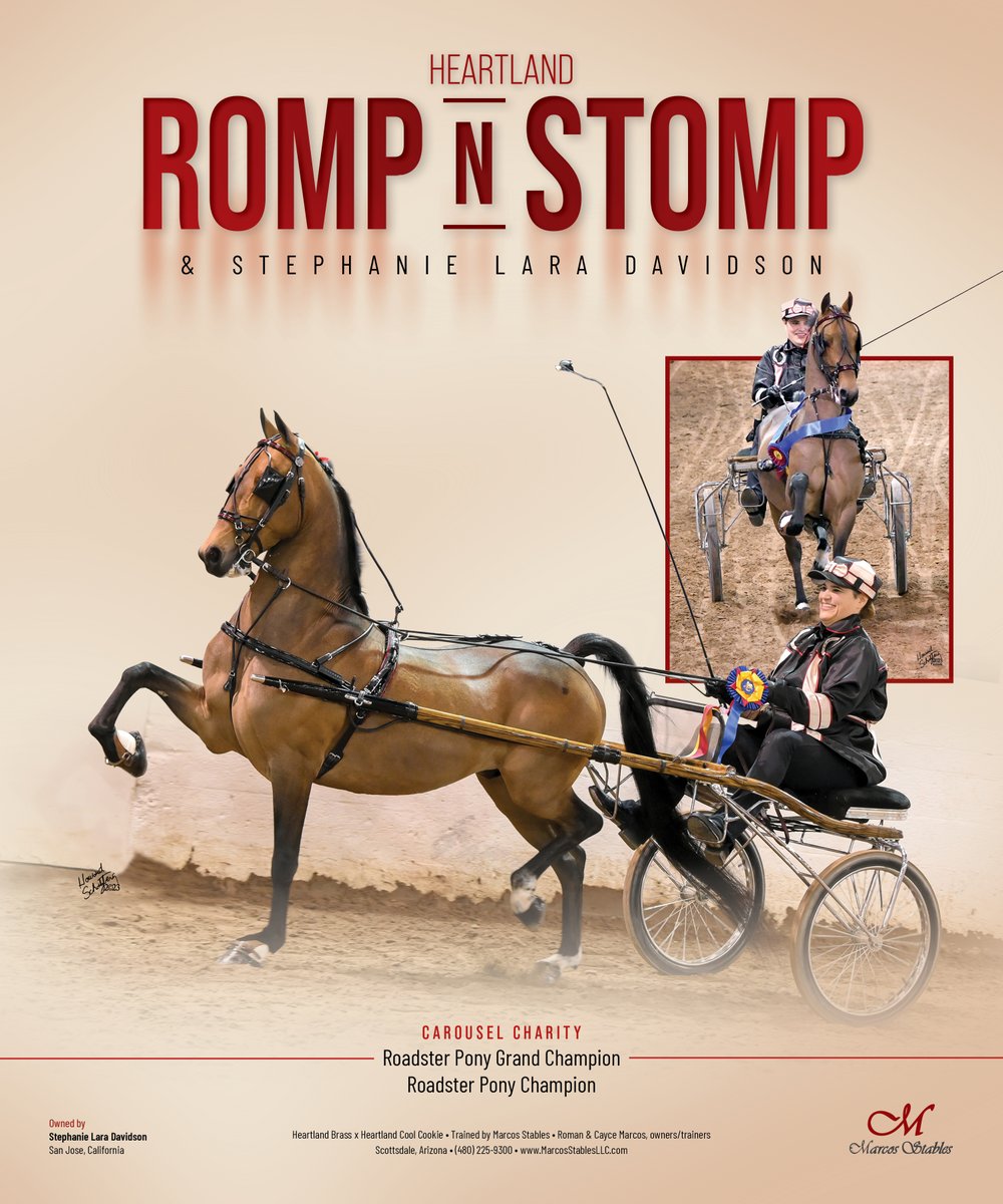 National Horseman tweet media