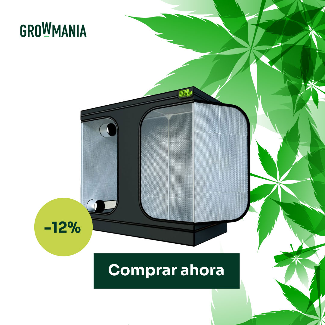 growmania_esp's tweet photo. Los mejores armarios de cultivo e invernaderos.🌱 
🛒https://t.co/I2TZVom150

#hemp #cultivo #cultivar #hempseeds https://t.co/uBTrlNmZ8f