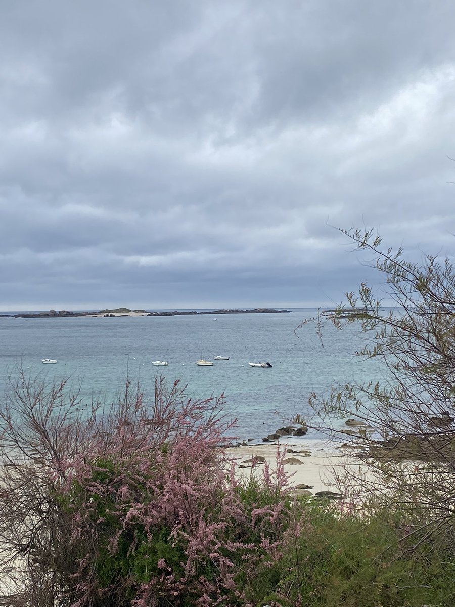 maelialc's tweet image. Il y a un an, j’ai hésité à profiter de mon rang au concours pour prendre un poste en Bretagne. Finalement, j’ai décidé de rester dans l’académie de Versailles, pour son dynamisme et sa diversité d’établissements. Et la Bretagne reste mon plus beau refuge. #perdir2022