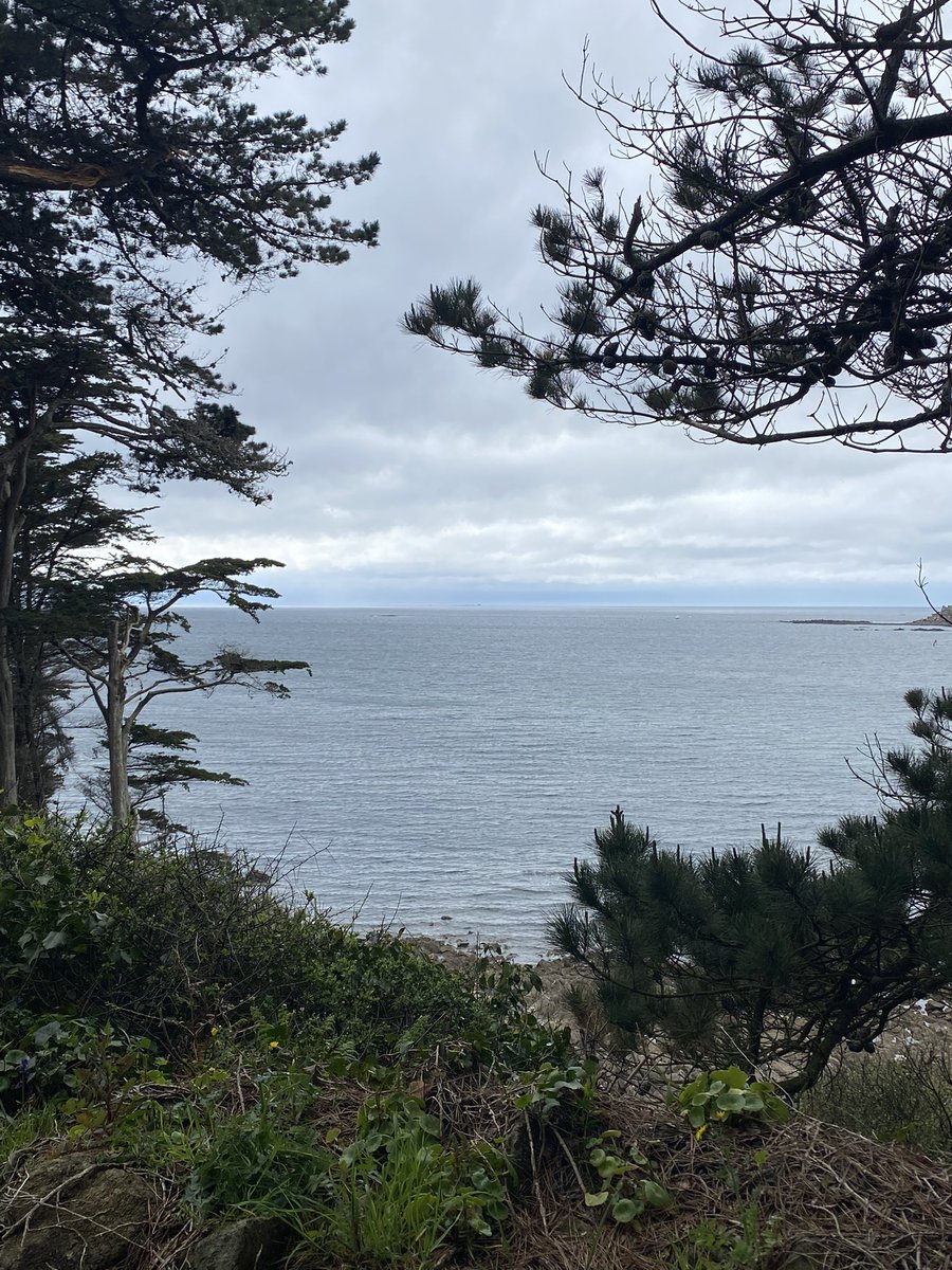 maelialc's tweet image. Il y a un an, j’ai hésité à profiter de mon rang au concours pour prendre un poste en Bretagne. Finalement, j’ai décidé de rester dans l’académie de Versailles, pour son dynamisme et sa diversité d’établissements. Et la Bretagne reste mon plus beau refuge. #perdir2022