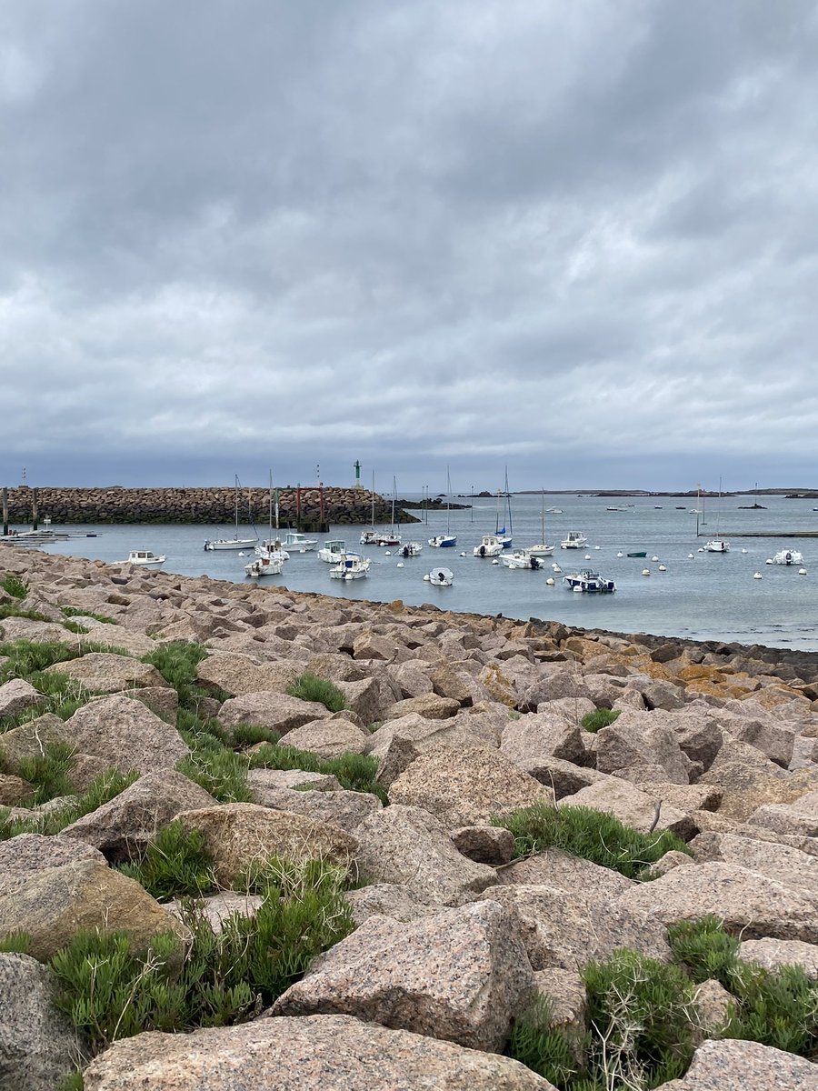 maelialc's tweet image. Il y a un an, j’ai hésité à profiter de mon rang au concours pour prendre un poste en Bretagne. Finalement, j’ai décidé de rester dans l’académie de Versailles, pour son dynamisme et sa diversité d’établissements. Et la Bretagne reste mon plus beau refuge. #perdir2022