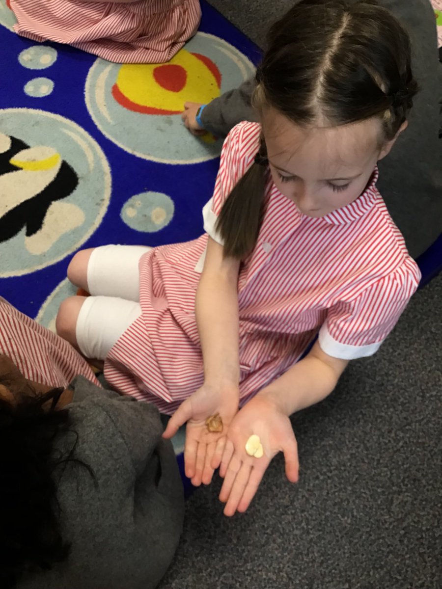 BGS_LowerSch's tweet photo. Year 2 enjoyed looking at different seeds and guessing what plants they grow into #BGS_Science https://t.co/rnBLMisePy