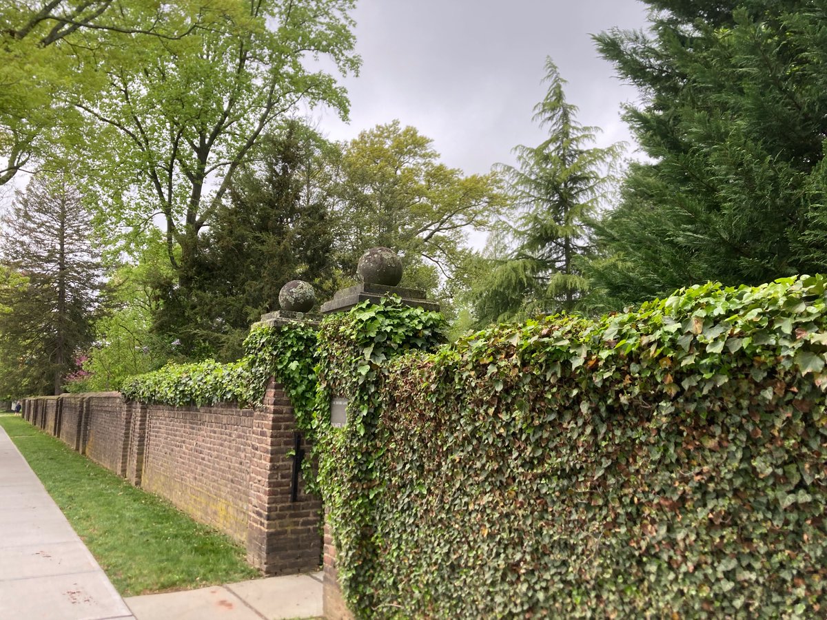 AGelpern's tweet photo. About to add some very classy tattoos to this classy scenery! #debtcon #DebtCon6 @LaynaMosley @upanizza @AndyPowell_IDB @Martin_M_Guzman @jdauchy @Brad_Setser @dannybradlow #sovereigndebt #sovereigndebtforum https://t.co/ELPgADopyN