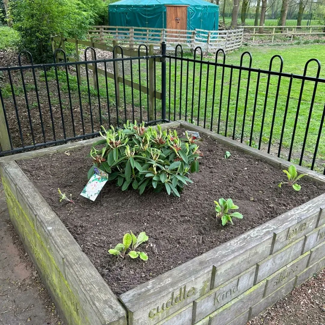 witton_walkce's tweet image. A very big thank you to one of our parents and @EvergreenChesh for tidying up our Reflection Garden and planting the shrubs and plants left to us from the Secret Gardener. It looks beautiful.