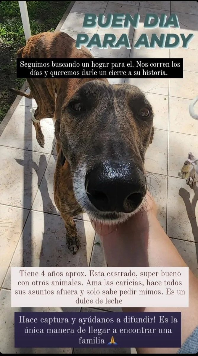 charoosua's tweet photo. DIFUNDIR 🙏🙏🙏🙏 @RosSolidaria @VivirenRosario @FMvidaRosario @MuniRosario https://t.co/KJenfMM7AQ
