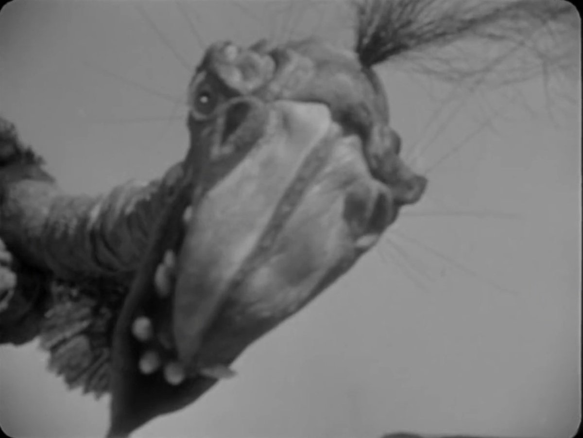 JackKinoy's tweet photo. The Giant Claw (1957)
Originally intended to be a stop-motion beast, budget restraints meant a marionette was used instead to portray the 'bird'.
#sciencefiction
#creaturefeature https://t.co/frBB3EYsnb