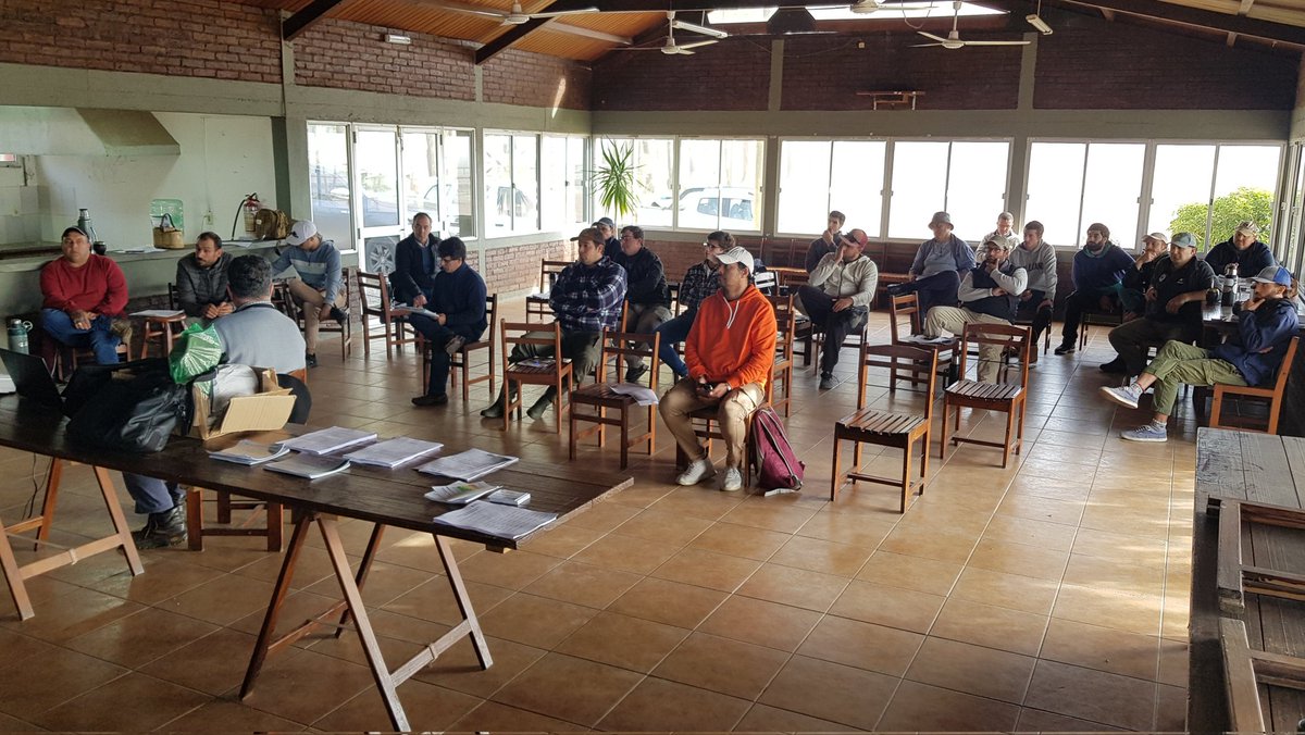 Hᴏʀᴀᴄɪᴏ Oʏʜᴇɴᴀʀᴅ Pᴇʀᴇɪʀᴀ tweet media