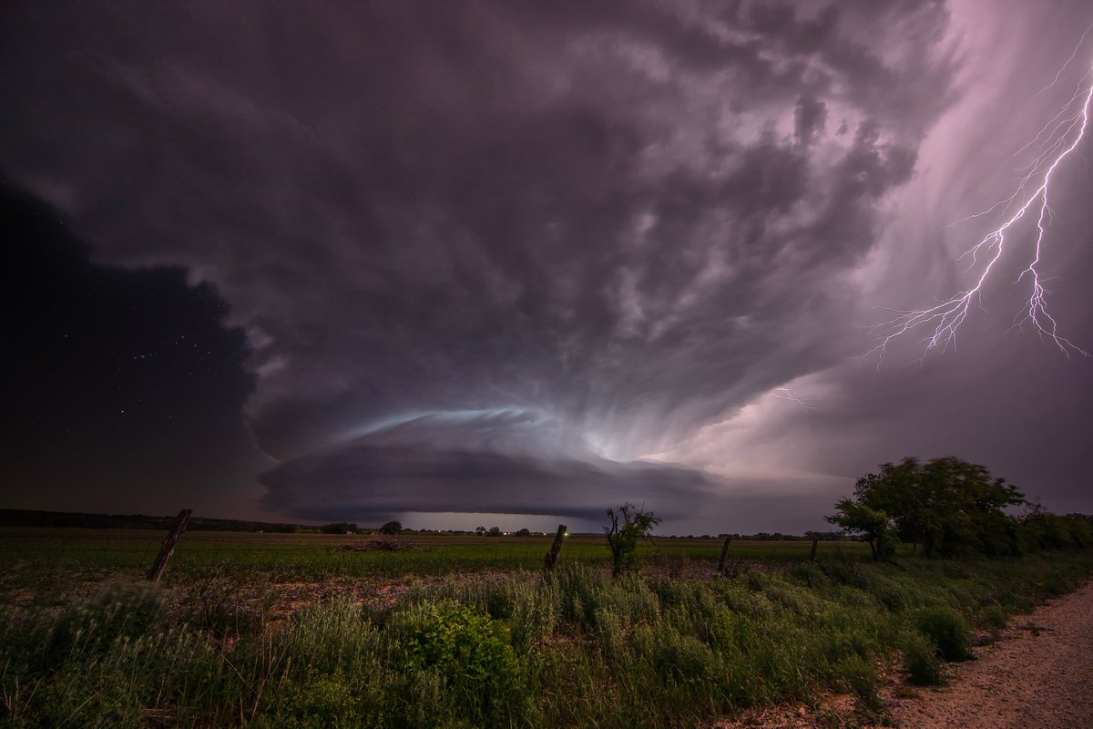 Roger Hill tweet media