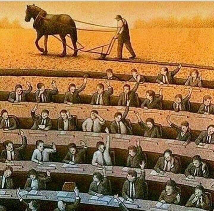 Me encantaría votar por el campesino, pero no está entre los candidatos.