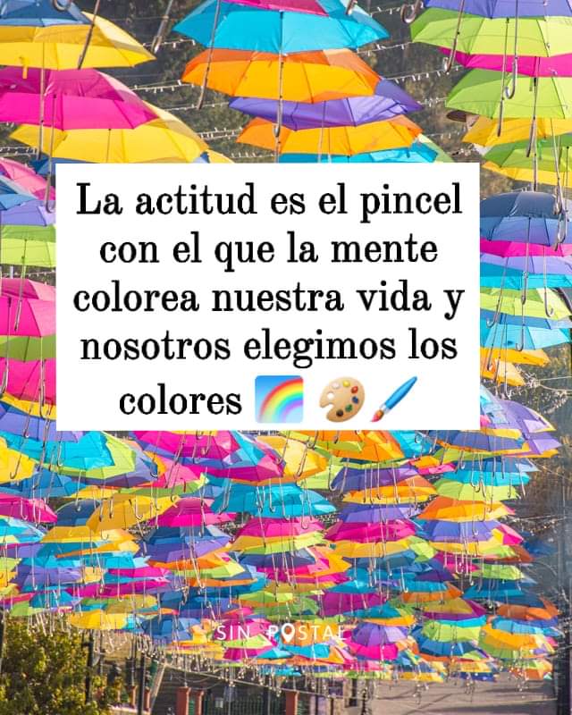 Angie lazcano (@angylazcano21) on Twitter photo 