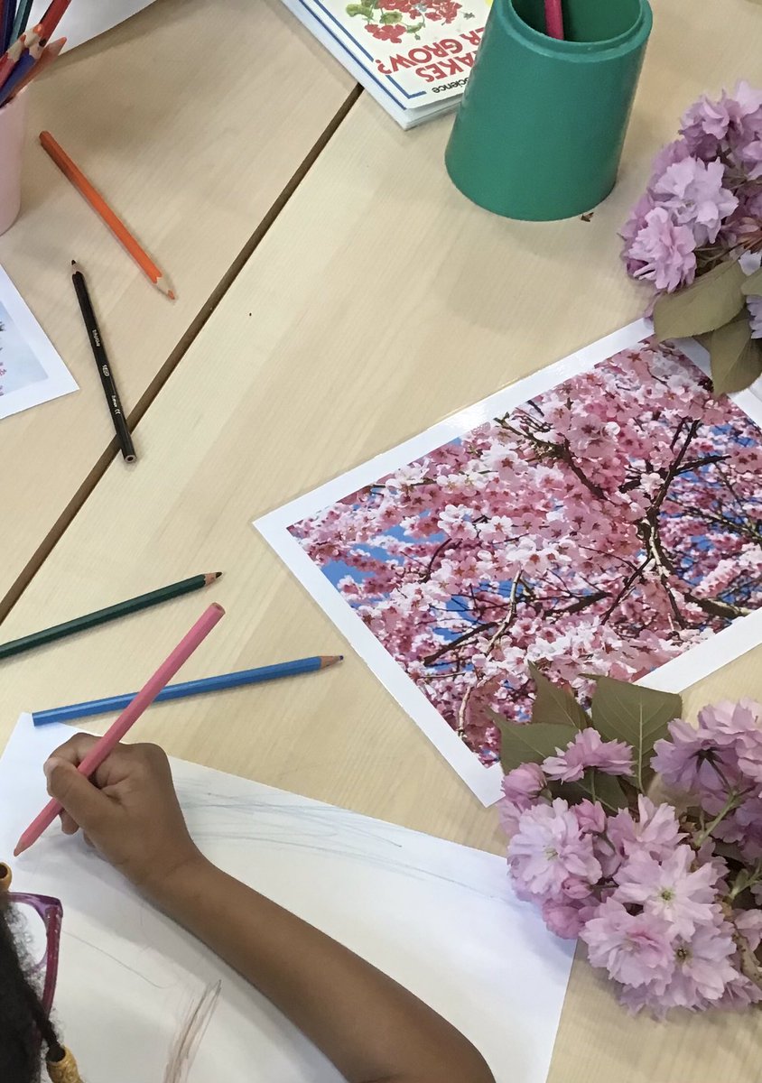 Shannasmith29's tweet photo. A take on Spring…
Cherry Blossom 🌸 
@AASSheffPrimary https://t.co/KWHJuigNQy