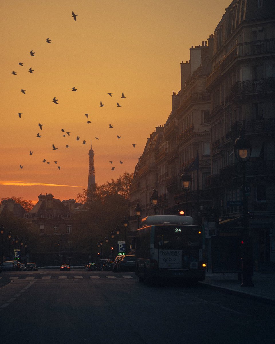 Bonjour Twitter, aujourd’hui c’est mon anniversaire et je suis photographe 🎂

Si tu veux me faire un petit 🎁 partage mon travail 📸