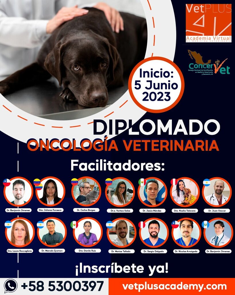 vetplusacademy's tweet photo. Diplomado en Oncología Veterinaria

Modalidad: 100% on line. Clases en tiempo real (sincrónicas). Las grabaciones de las clases estarán disponibles a partir del día siguiente de la emisión de las mismas.  El diplomado es aprobatorio.

Aval: El diplomado … https://t.co/QrJrMrkoPB https://t.co/8Xi61qkIct