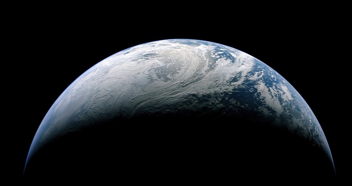 Julian Mueller-Kaler tweet media