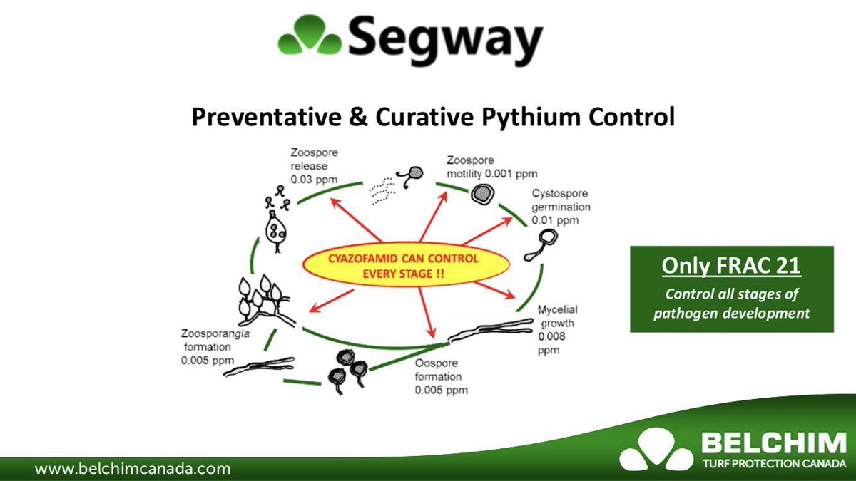 BelchimTurf's tweet photo. Control soilborne Pythium with an application of SEGWAY. Add DISARM for Complete Spring Protection! https://t.co/3o2Po9Z1sv
